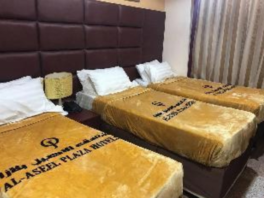 Alwan Al Aseel Hotel Main image