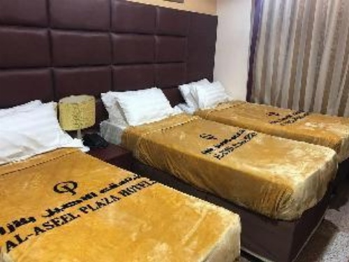 Alwan Al Aseel Hotel image 3